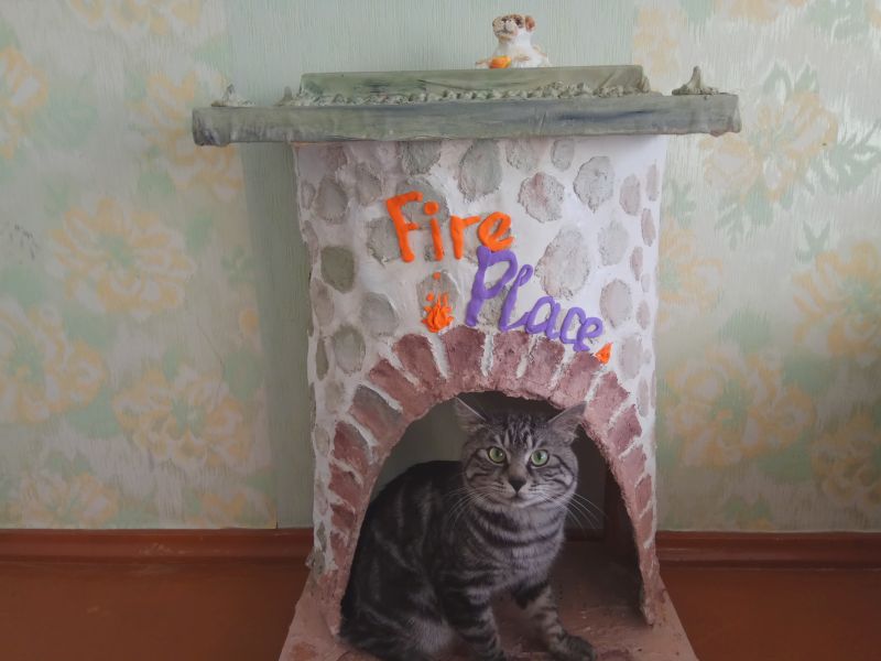 Кот оценил и решил сфотографироваться на фоне