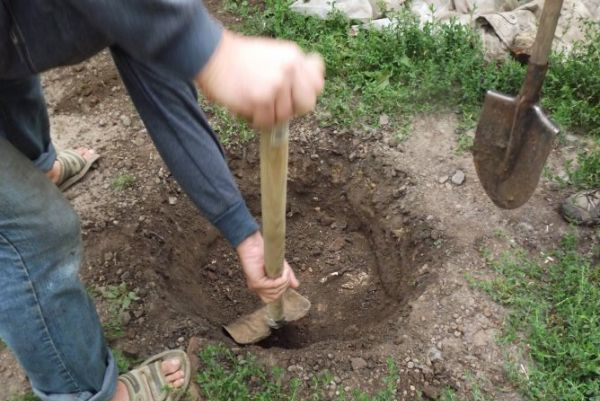 Роем яму