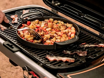 Газовый гриль WEBER Traveler